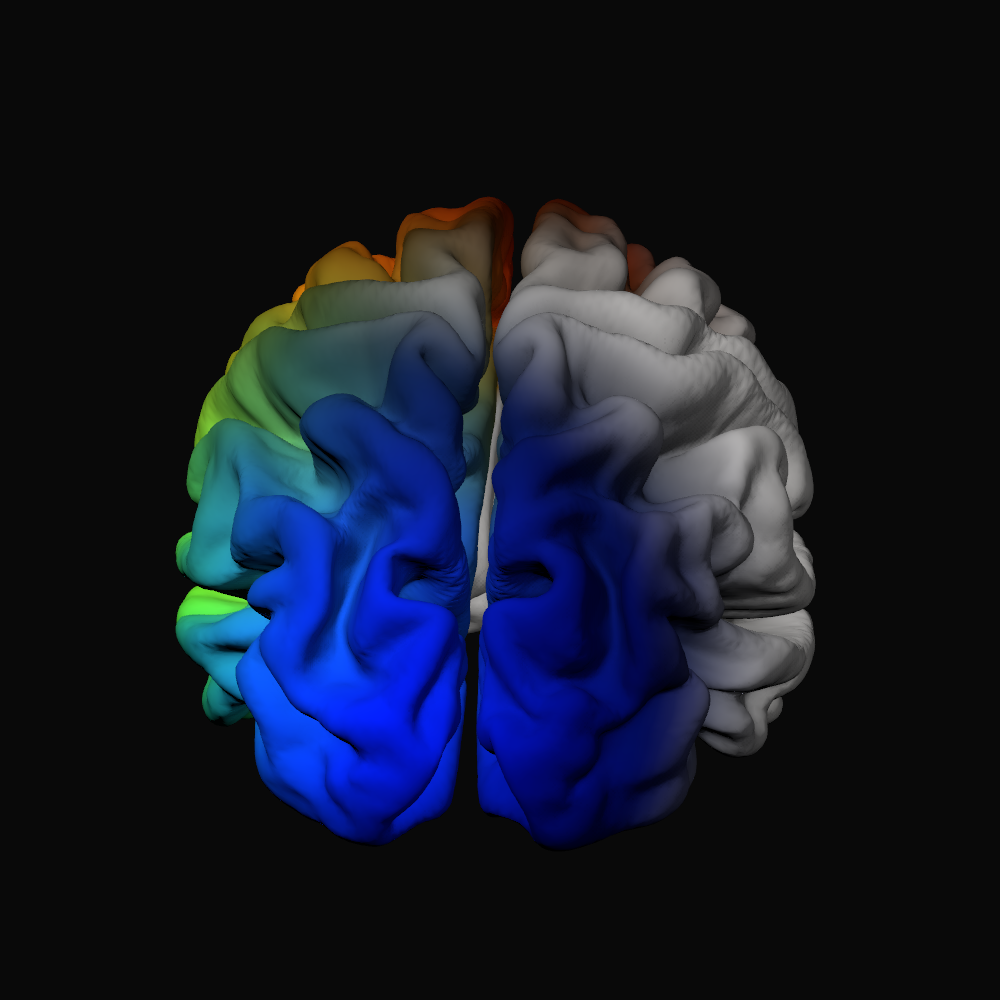 Cortical surface with illustrative video, audio, and text contributions in blue, green, and red